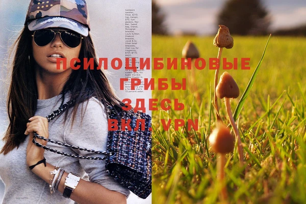 PSILOCYBIN Алексеевка