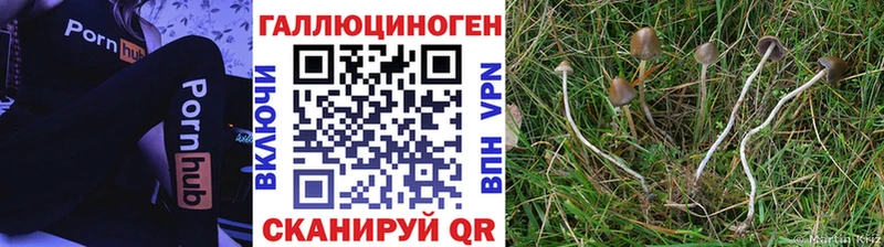 где продают   Новоульяновск  Галлюциногенные грибы мухоморы 